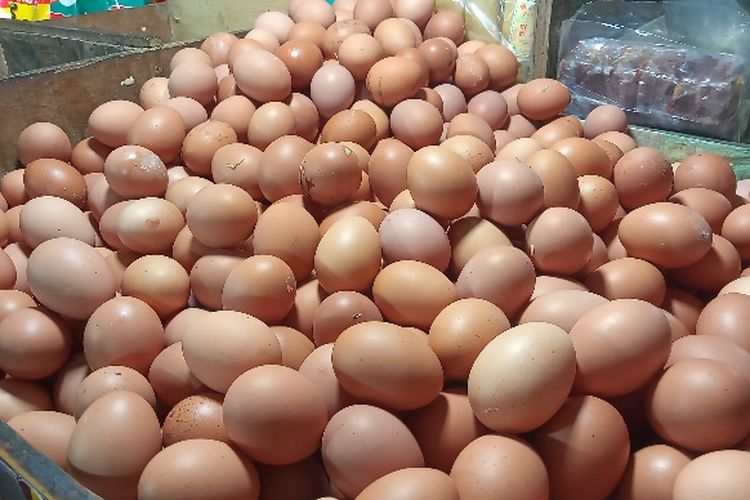 Peluang Usaha Agen Telur Ayam Untuk Pemula